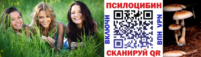 Галлюциногенные грибы MAGIC MUSHROOMS  купить наркотики сайты  Малмыж 